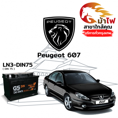 แบตเตอรี่รถยนต์ เปอโยต์ 607 (Peugeot 607)