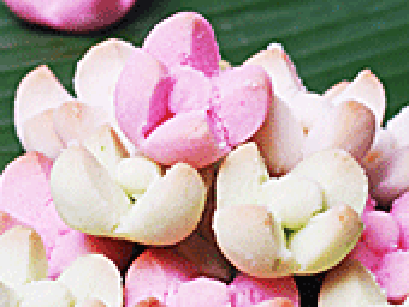 กลีบลำดวน