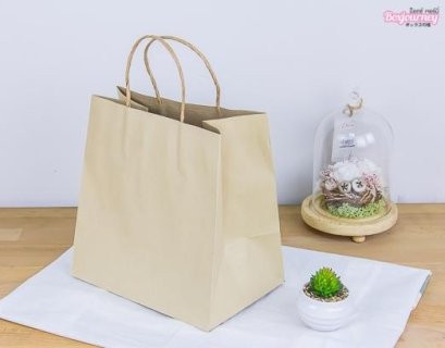 ถุงกระดาษน้ำตาลหูเกลียว 23x15x23 ซม. (25ชิ้น/แพ็ค)