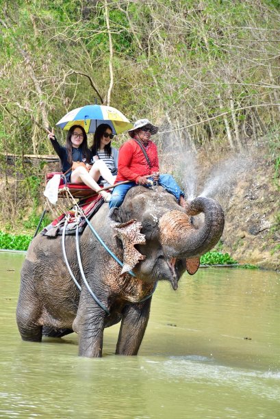 チャンタイタップラヤーサファリ CHANGTHAI THAPPRAYA SAFARI