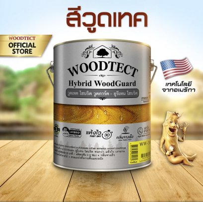 Woodtect Woodguard Hybrid