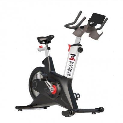 Spin bike S300