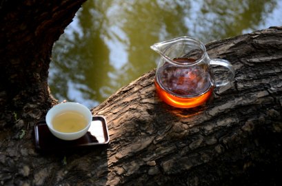 ลดไขมันในเส้นเลือด