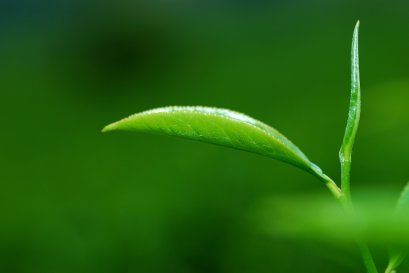 ป้องกันโรคตับอักเสบและตับแข็ง