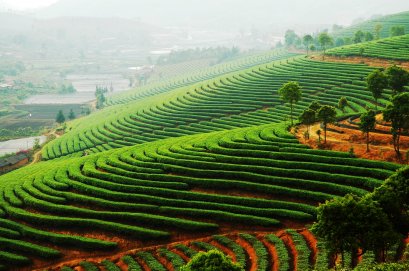 กระตุ้นระบบประสาทและสมอง