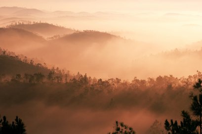 ช่วยย่อยอาหาร