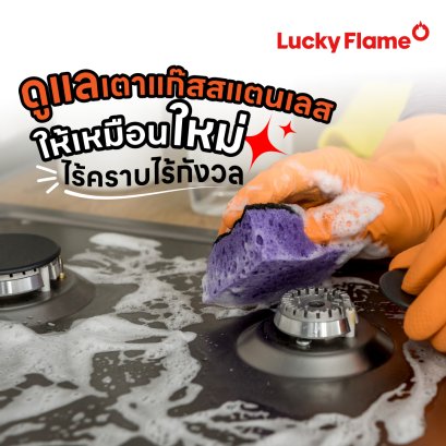 แชร์ทริคดูแลเตาแก๊สสแตนเลสให้เหมือนใหม่ ไร้คราบไร้กังวล