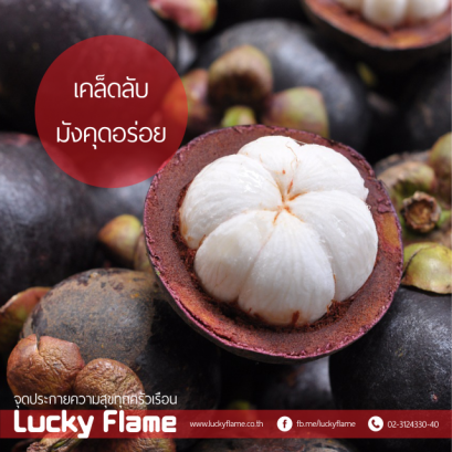 เคล็ดลับมังคุดอร่อย