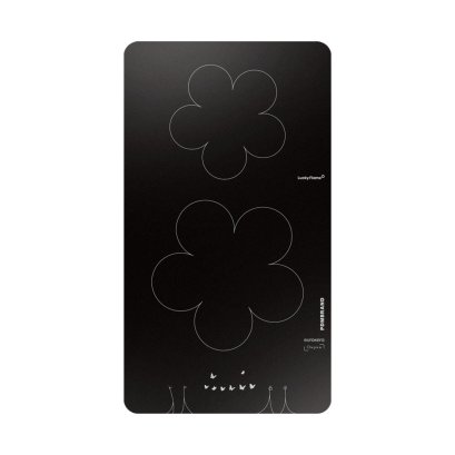 Induction Hob(copy)