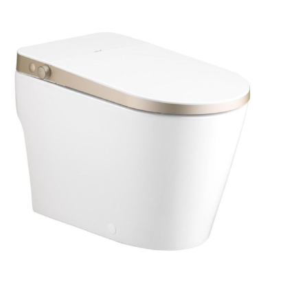 C109047 WH/GR สุขภัณฑ์อัตโนมัติ รุ่น ULTIMATE สีขาว/ทอง