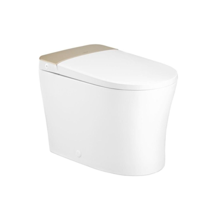 C109207 WH/GR สุขภัณฑ์อัตโนมัติ รุ่น Core สีขาว/ทอง