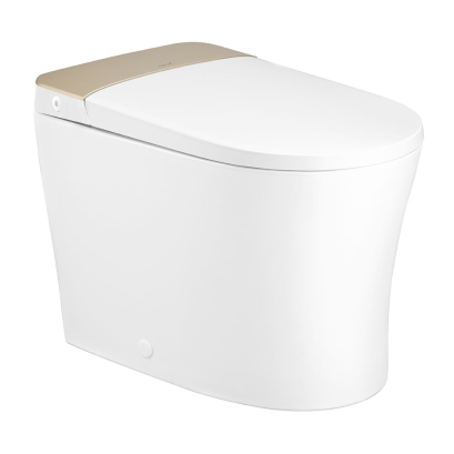 C109227 WH/GR สุขภัณฑ์อัตโนมัติ รุ่น Pro สีขาว/ทอง