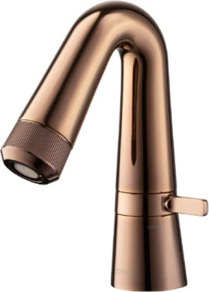 CT1246A#RG2 ก๊อกอ่างล้างหน้าน้ำเย็น พร้อมไส้กรอง รุ่น CALLA LILY(