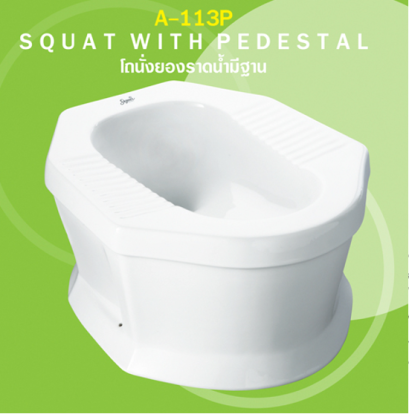 A113P-WT สุขภัณฑ์ แบบนั่งยองราดน้ำ มีฐาน สีขาว
