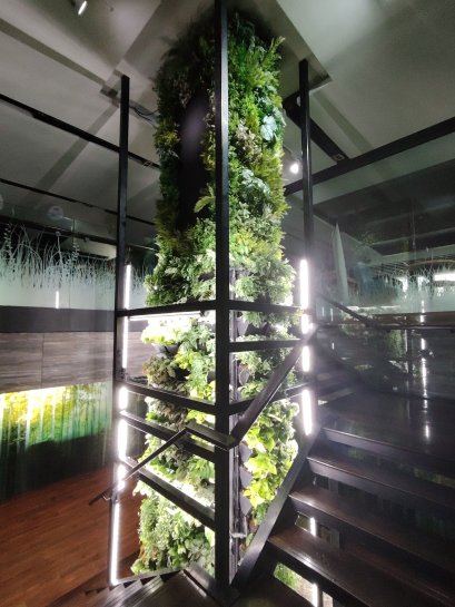 สวนแนวตั้ง แบบผสม ในพื้นที่ขาดแสงแดด