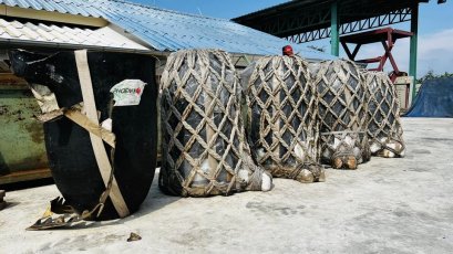 เบ้าหลอมโลหะงานญี่ปุ่นของใหม่PHOENIX NIPPON CRUCIBLE ขนาดบอดี้ ความสูง 80 cm / ปากเบ้าหลอมกว้าง 45 cm