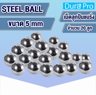 เม็ดลูกปืน ขนาด 5 mm CHROME STEEL BALL ลูกเหล็ก เม็ดลูกปืนเม็ดกลม