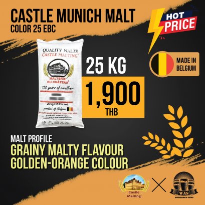 Castle Malt Munich 13-17 EBC 25 Kg