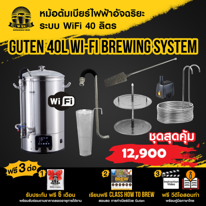 หม้อต้มเบียร์ไฟฟ้า Guten 40L Microbrewery EU Plug Free pump Wifi
