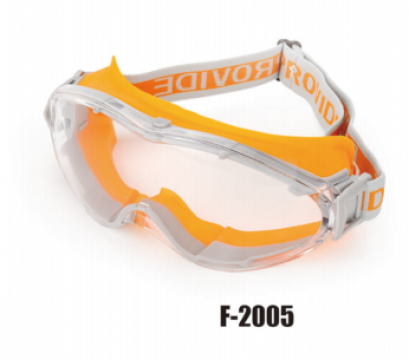 F2005 - Safety Goggle