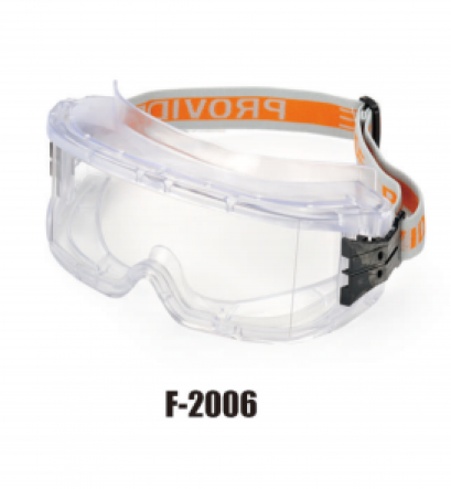 F2006 - Safety Goggle