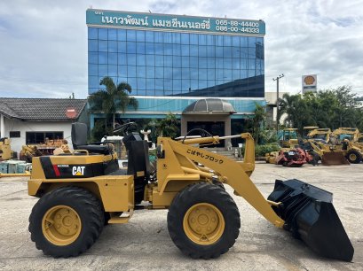 CAT WS300