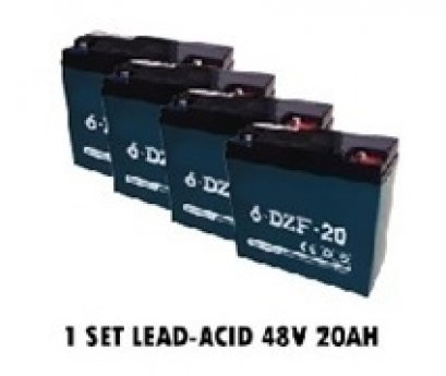 แบตแห้ง/แบตตะกั่ว (1 SET LEAD-ACID 48 V 20 AH )