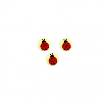 Lady bug(FEAS0132W)