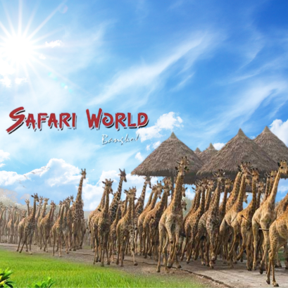 018PVT Safari World &amp; Marine Park