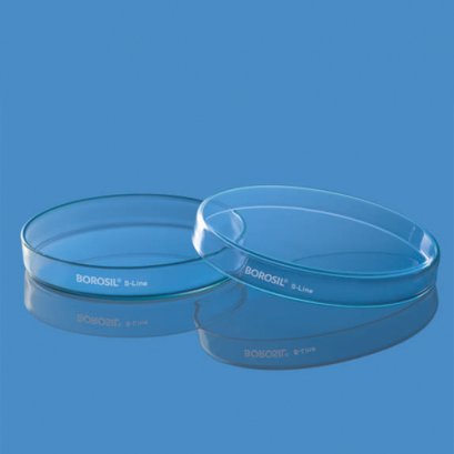 Petri - Dish 