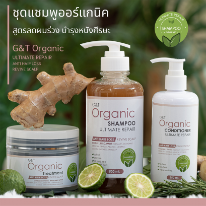 ชุดแชมพูลดผมร่วง ฟื้นฟูหนังศีรษะ ผมร่วง ผมบาง G&amp;T Organic Ultimate Repair Set : Shampoo + Conditioner + Hair Treatment