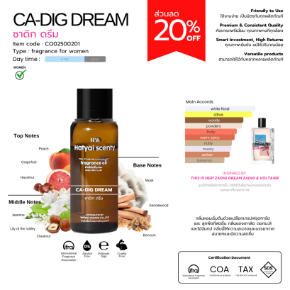 CA-DIG DREAM