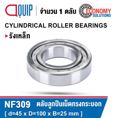 NF309 Cylindrical Roller Bearings ตลับลูกปืนเม็ดทรงกระบอก