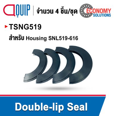 TSNG519 (TSNG519G) Double Lip Seal - Bearing Housing Seal