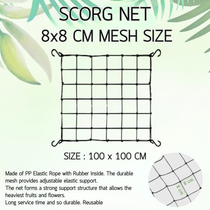SCROG NET