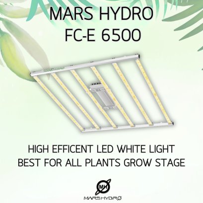 MARS HYDRO