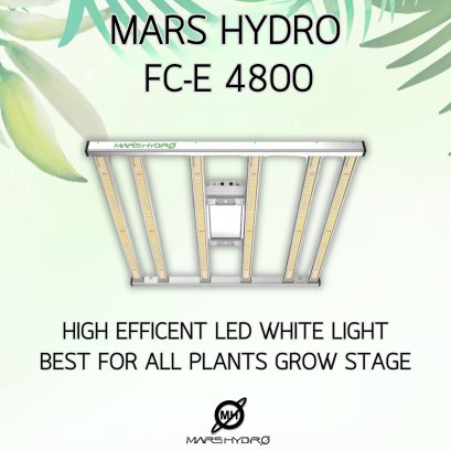 MARS HYDRO