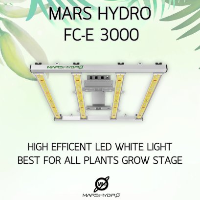MARS HYDRO