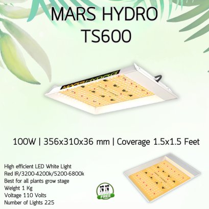 MARS HYDRO