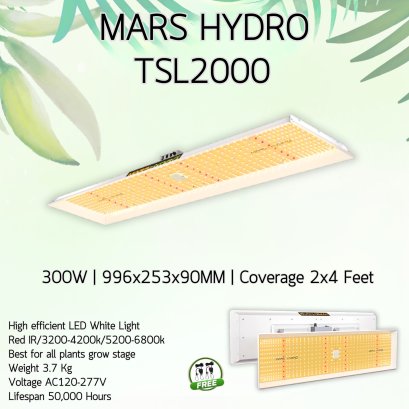 MARS HYDRO