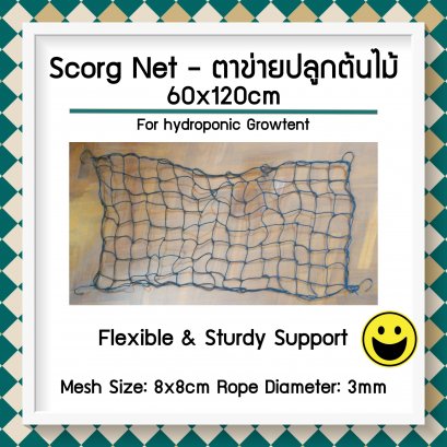 ตาข่ายปลูกต้นไม้ Scrog Net สำเร็จรูป สำหรับ Plant stress training (ช่องตาข่าย: 8x8cm) ขนาด 60x120cm