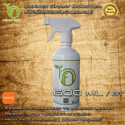 Natural Farm: Seaweed