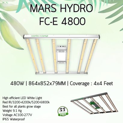 MARS HYDRO