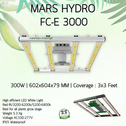 MARS HYDRO