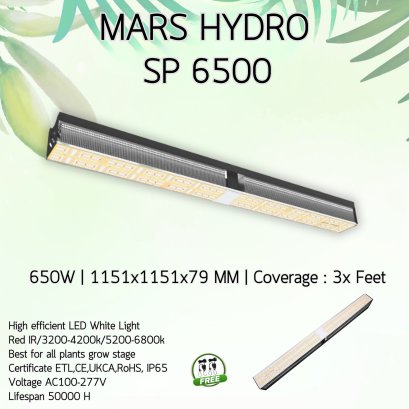MARS HYDRO