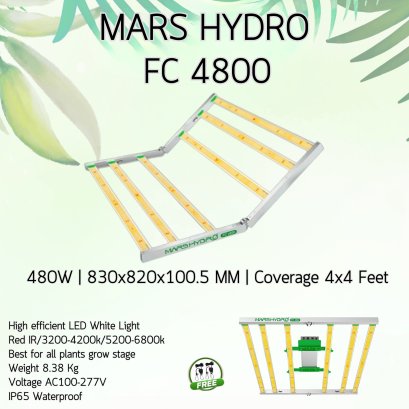 MARS HYDRO