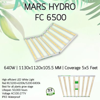 MARS HYDRO