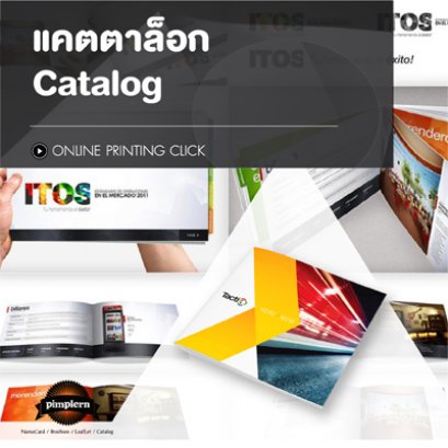 แคตตาล็อก หนังสือ คู่มือสินค้า