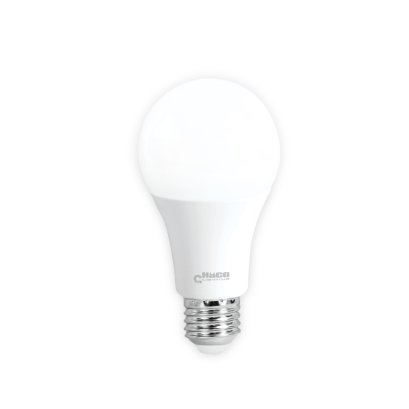 LED Bulb