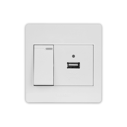 USB Socket Module + 1 Gang 1 Way Switch Set